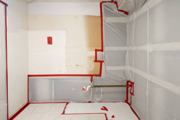 Reliable Aberdeen, IN Mold Removal Solutions