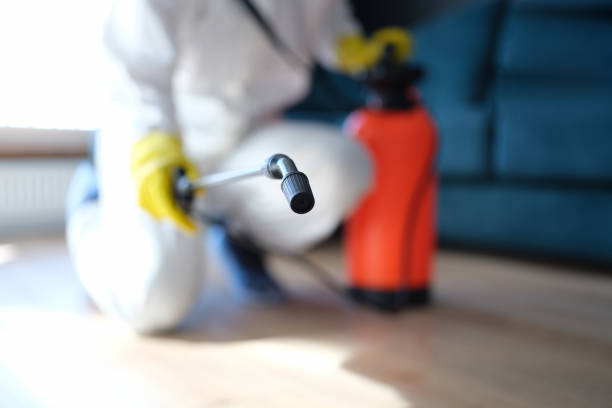 Best Mold Removal for HVAC Installations  in Aberdeen, IN