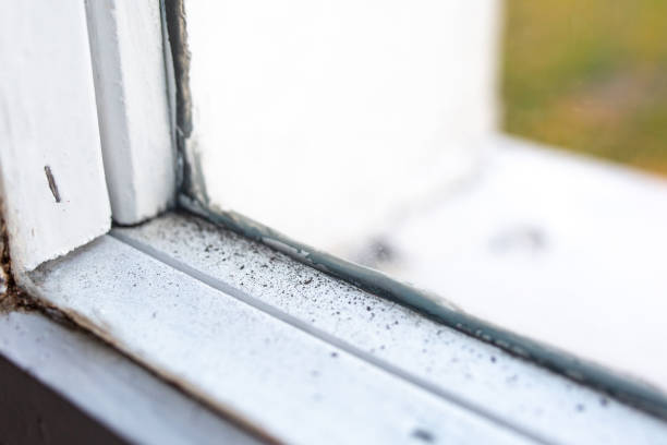 Mold Remediation for Vacation Homes in Aberdeen, IN