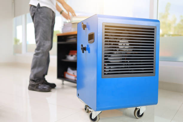 Best Residential Mold Inspection & Testing  in Aberdeen, IN